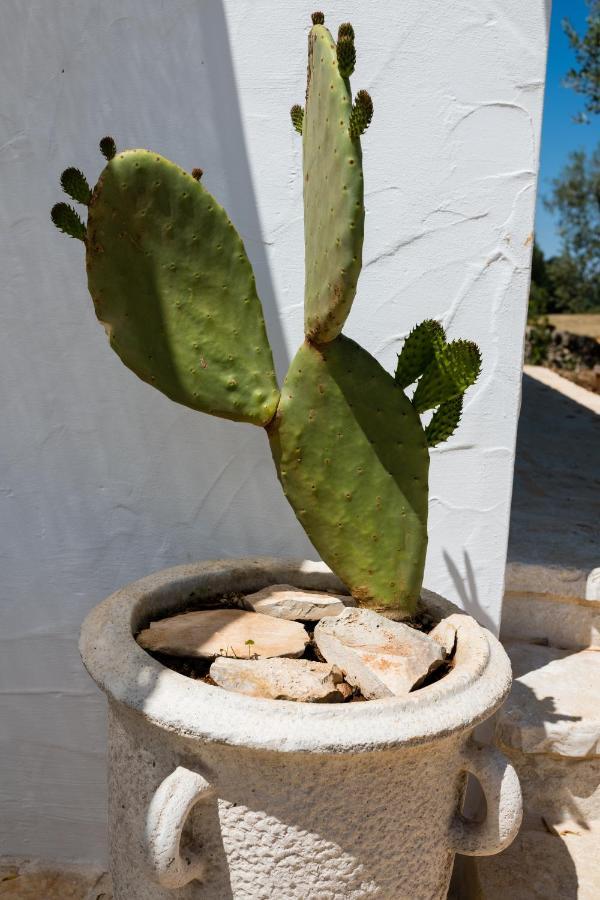 Il Trullo Della Rondinina Villa Alberobello Buitenkant foto