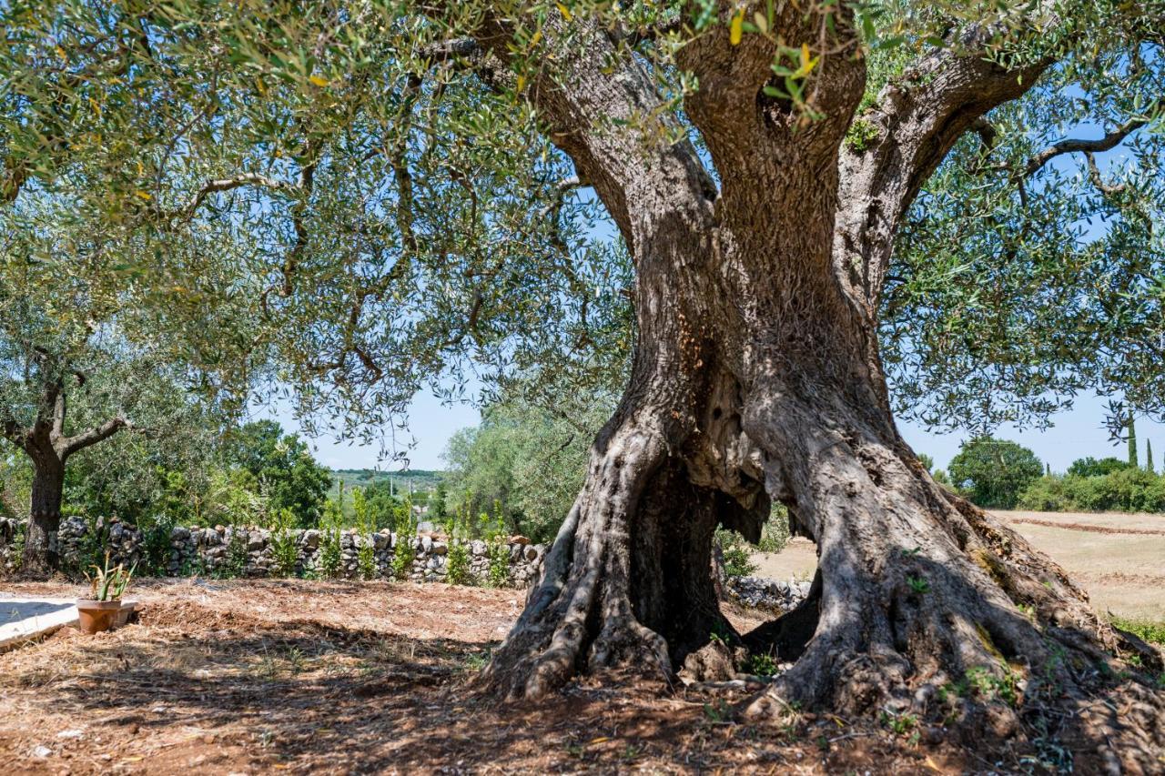 Il Trullo Della Rondinina Villa Alberobello Buitenkant foto