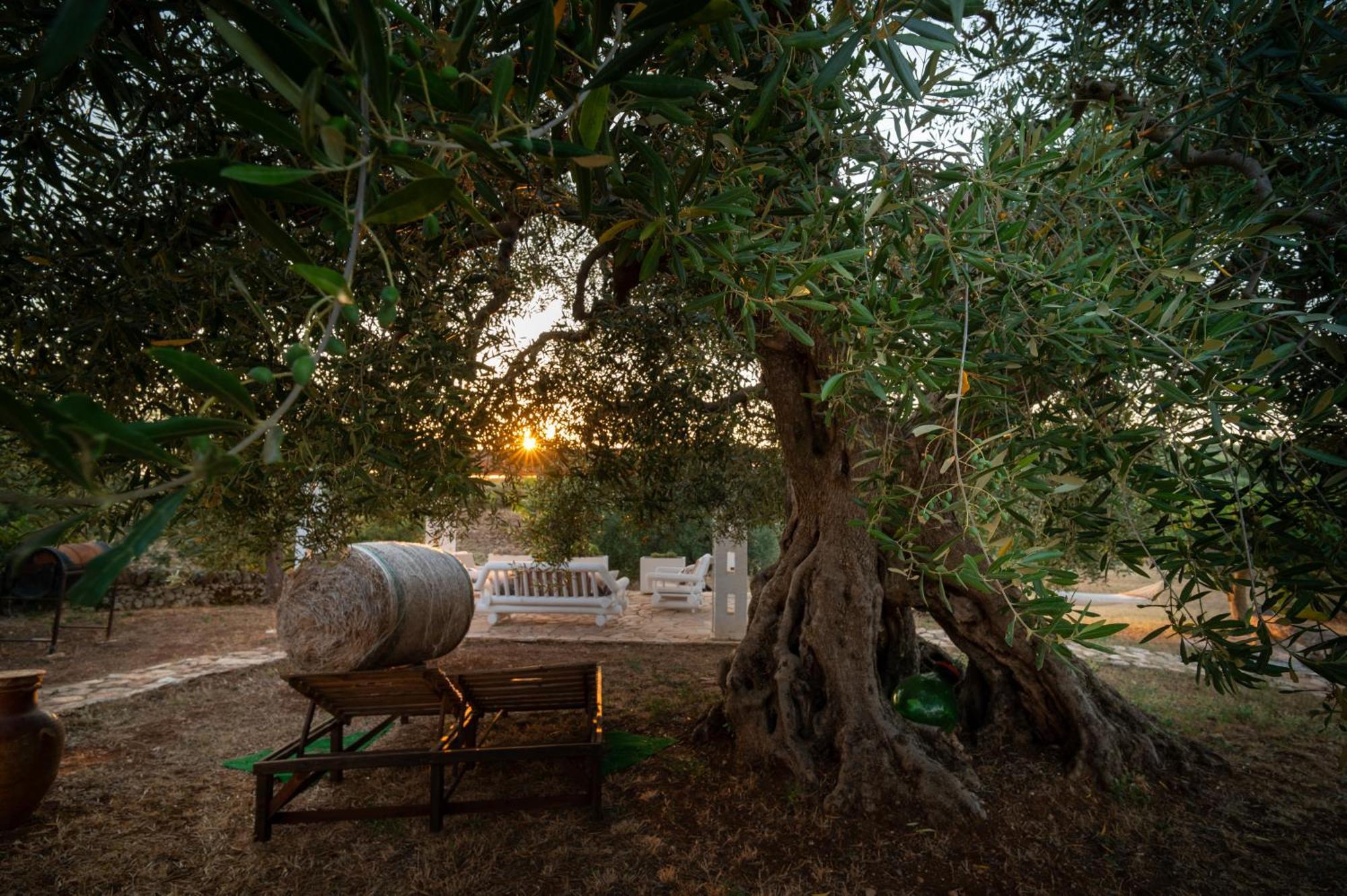 Il Trullo Della Rondinina Villa Alberobello Buitenkant foto