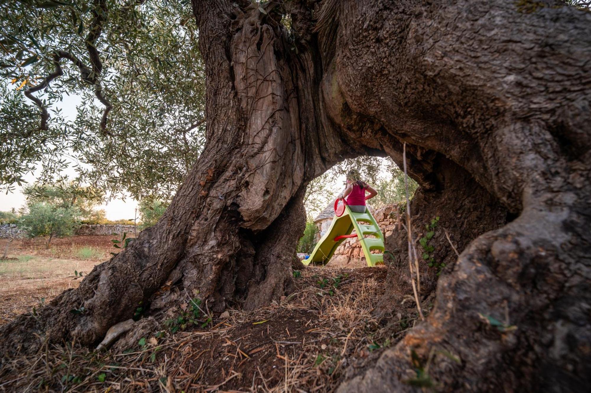 Il Trullo Della Rondinina Villa Alberobello Buitenkant foto